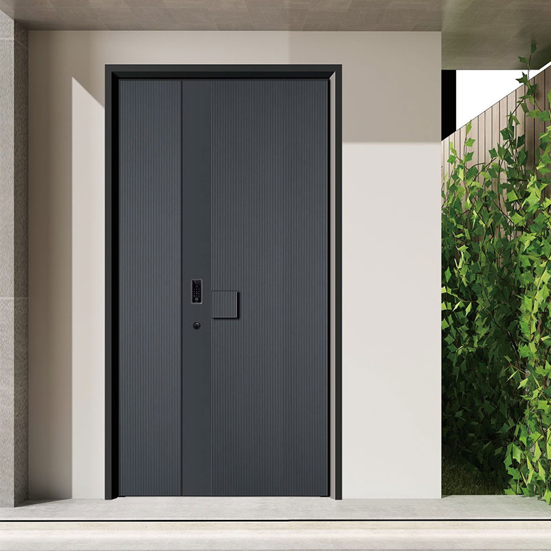 Aluminum Security Door