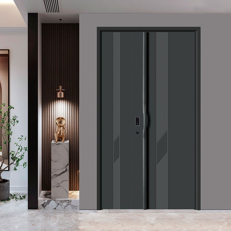 Minimalist Modern Entrance Door